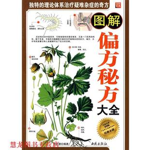 【正版书籍】 图解偏方秘方大全 李民慧 编著
