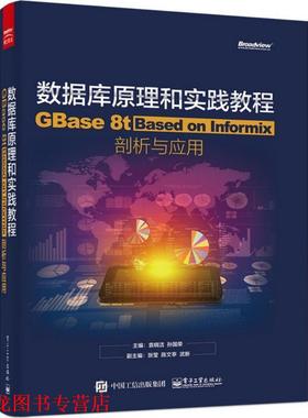 【正版书籍】 数据库原理和实践教程:GBase 8t 袁晓洁 主编 电子工业出版社