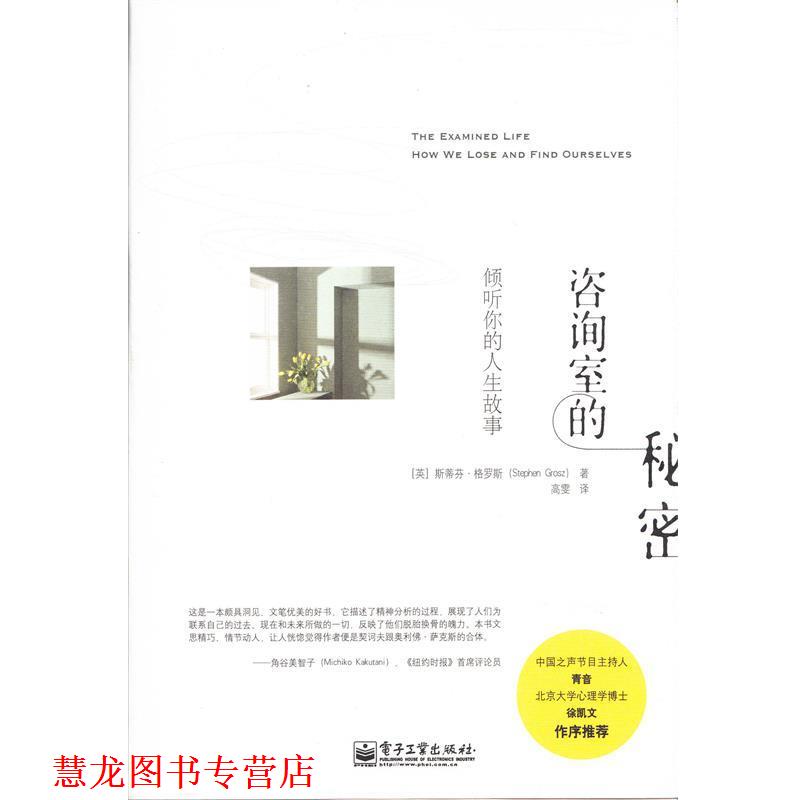 【正版书籍】 咨询室的秘密:倾听你的人生故事 Stephen Grosz(斯蒂芬 格罗斯) 著,高雯 译 电子工业出版社