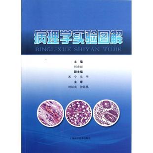 【正版书籍】 病理学实验图解 主编何彦丽 上海科学技术出版社