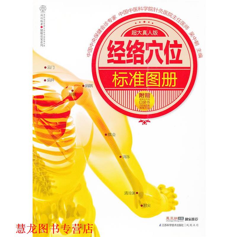 【正版书籍】 经络穴位标准图册 吴中朝 编 江苏科学技术出版社