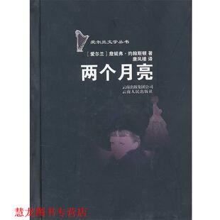 【正版书籍】 两个月亮 (爱尔兰)詹妮弗·约翰斯顿　著,唐凤楼　译 云南人民出版社