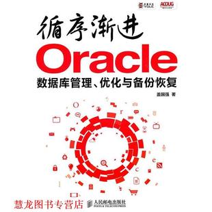 【正版书籍】 循序渐进Oracle:数据库管理、优化与备份恢复 盖国强 著 人民邮电出版社