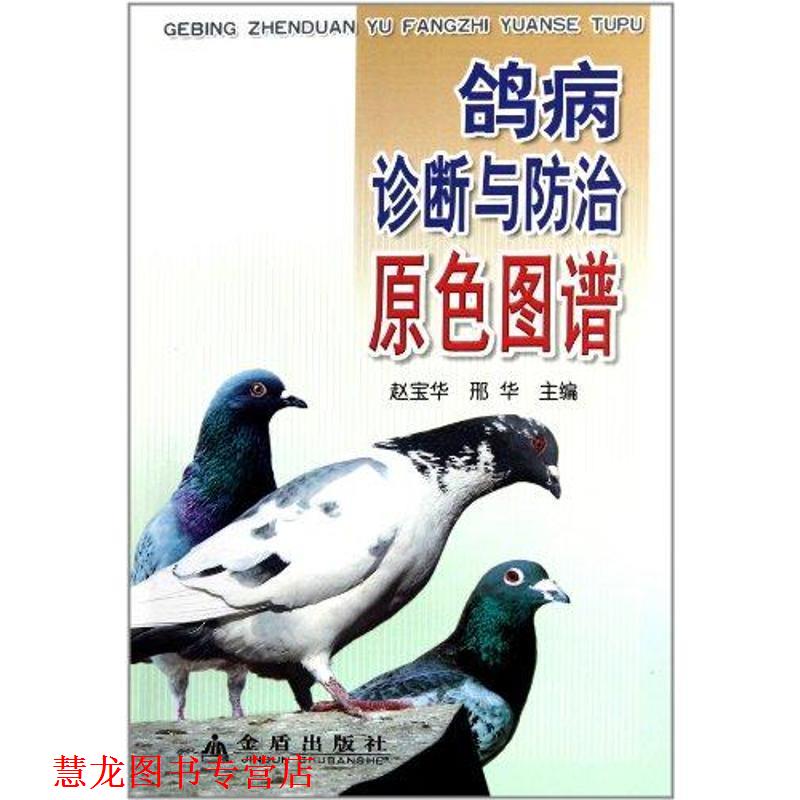 【正版书籍】 鸽病诊断与防治原色图谱 赵宝华 金盾出版社