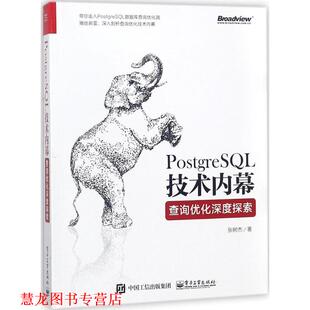 PostgreSQL技术内幕 书籍 张树杰 著 社 电子工业出版 正版