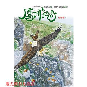 【正版书籍】 鹰训传奇 齐宏伟 华夏出版社