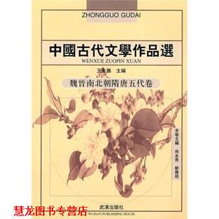魏晋南北朝隋唐五代卷 王兆鹏 武汉出版 正版 社 编 书籍 刘尊明 尚永亮