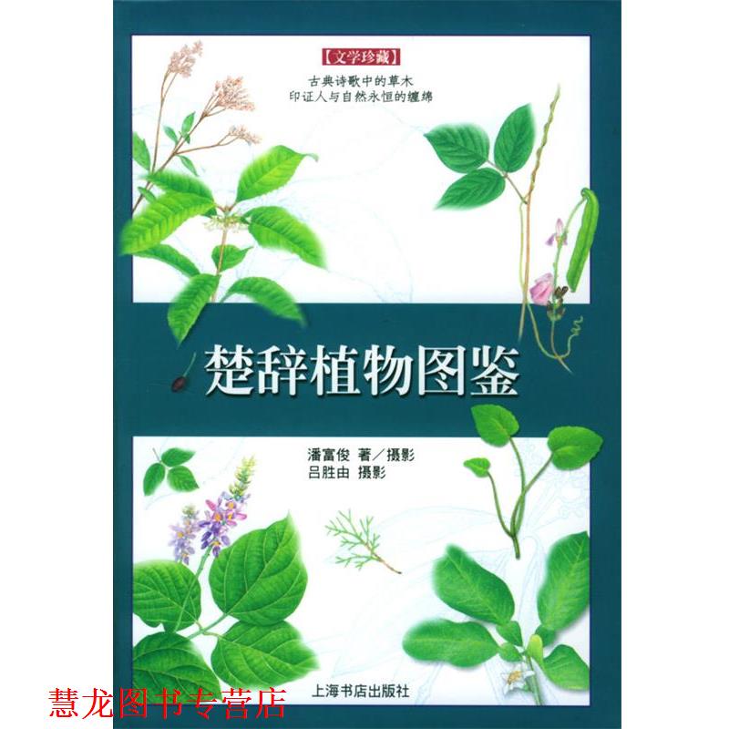 【正版书籍】 楚辞植物图鉴—文学珍藏 潘富俊 著 上海书店出版社