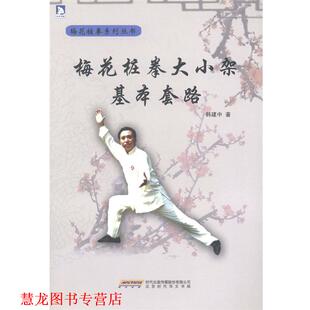 【正版书籍】 梅花桩拳大小架基本套路 韩建中 著 北京时代华文书局