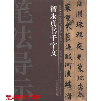【正版书籍】 中国历代碑帖技法导学集成·笔法导示:智永真书千字文 许晓俊,袁卫民,中国书法家协会 编 大众文艺出版社