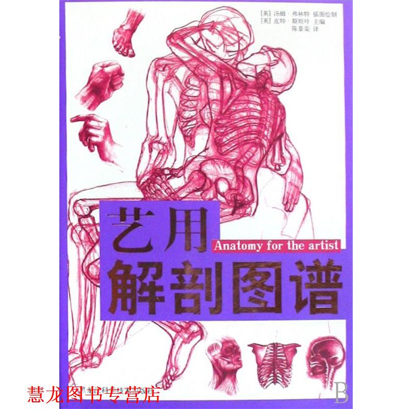 【正版书籍】 艺用解剖图谱 [英] 皮特·斯坦叶 编,[英] 汤姆·弗林特 绘,陈景荣 黑龙江科学技术出版社
