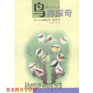 鸟界探奇 动物书廊 花城出版 正版 社 倪庆饩 书籍 赫德逊 英