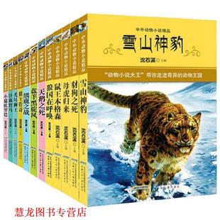 秃尾狮王 书籍 沈石溪 主编 社 安徽少年儿童出版 正版