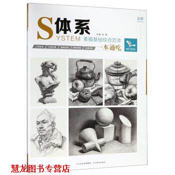 【正版书籍】 体系 素描基础综合范本 我有我一套系列丛书 孙建 编 河北美术出版社
