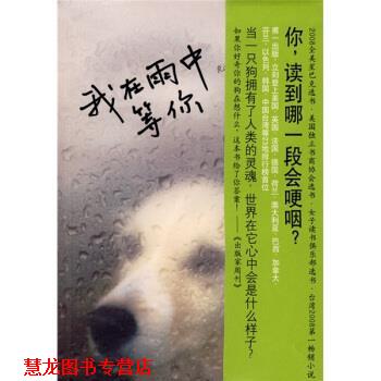 【正版书籍】 我在雨中等你 [美] 斯坦 著,林说俐 译 南海出版公司