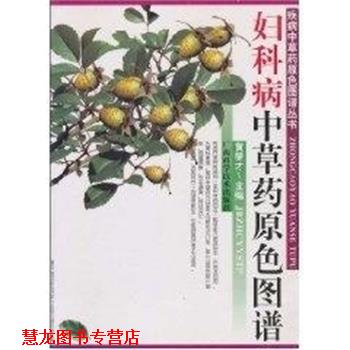 【正版书籍】 妇科病中草药原色图谱 疾病中草药原色图谱丛书 黄燮才 广西科学技术出版社