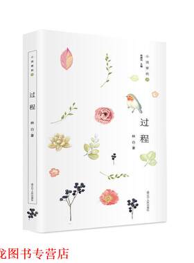 【正版书籍】 小说家的诗:过程 林白 辽宁人民出版社