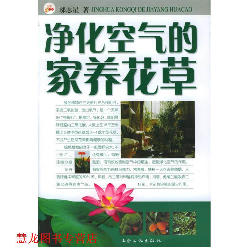 【正版书籍】 净化空气的家养花草 邬志星 著 上海文化出版社