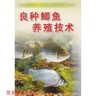 良种鲫鱼养殖技术 书籍 于清泉 编著 社 金盾出版 正版