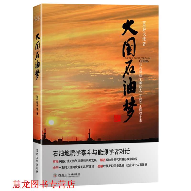 【正版书籍】 大国石油梦 赵天池 著 天津人民出版社