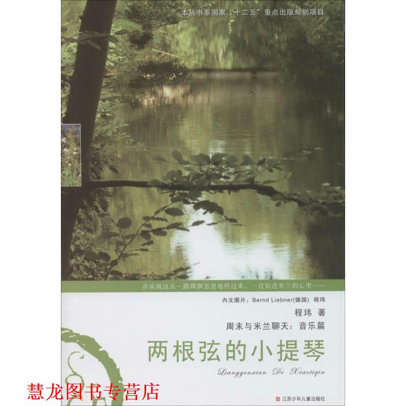 【正版书籍】 两根弦的小提琴 程玮 江苏少年儿童出版社