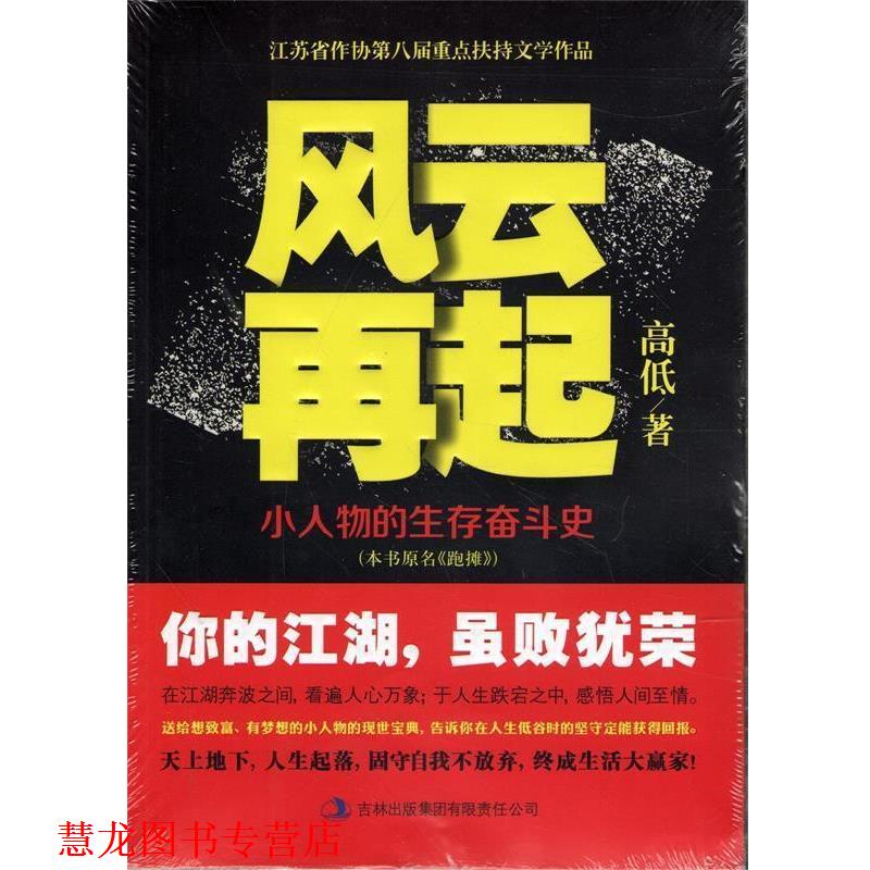 【正版书籍】 风云再起 高低 吉林出版集团有限责任公司