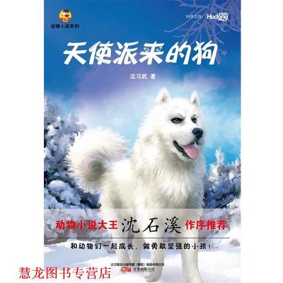 【正版书籍】 天使派来的狗 沈习武 著 万卷出版公司