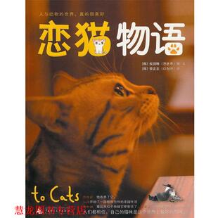 编绘 社 书籍 广西师范大学出版 译 李正圭 权润珠 韩 恋猫物语 正版