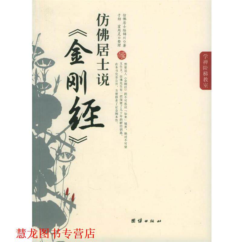 【正版书籍】 仿佛居士说-金刚经 仿佛居于陆锦川 著,于劲,霍用灵 整理 团结出版