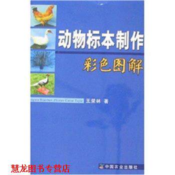 【正版书籍】 动物标本制作彩色图解 王荣林 中国农业出版社