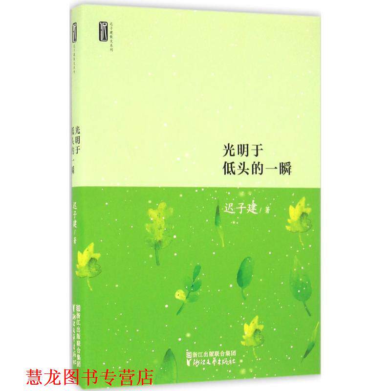 【正版书籍】 迟子建散文系列:光明于低头的一瞬 迟子建 著 浙江文艺出版社