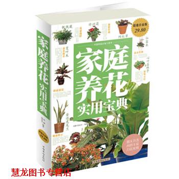 【正版书籍】 家庭养花实用宝典 孙静 ,张永生 著 中国华侨出版社