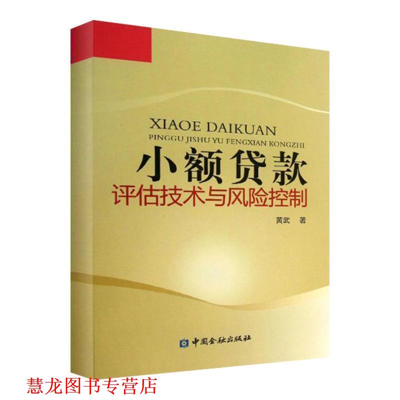 【正版书籍】 小额贷款评估技术与风险控制 黄武 著 中国金融出版社