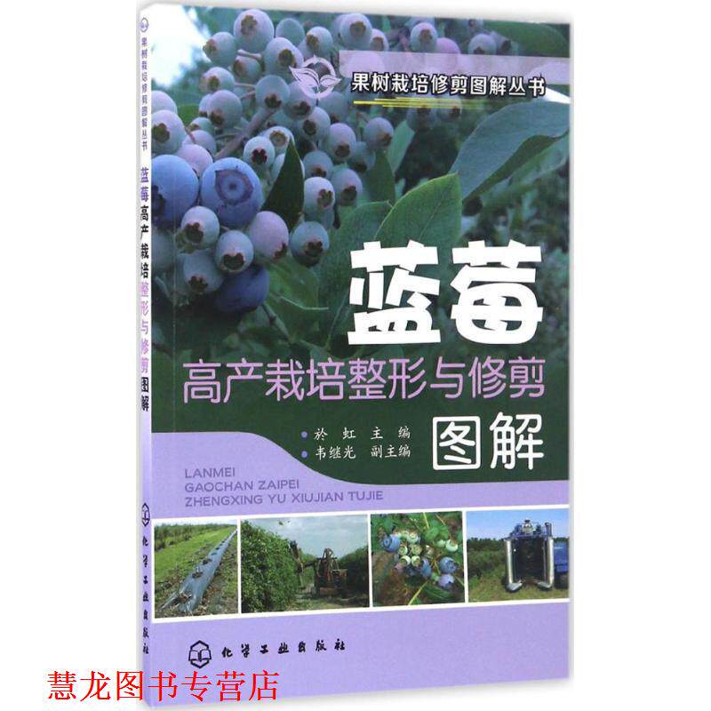 【正版书籍】 果树栽培修剪图解丛书--蓝莓高产栽培整形与修剪图解 於虹 主编 化学工业出版社