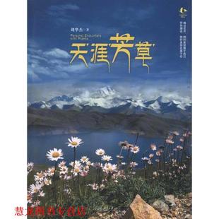 【正版书籍】 天涯芳草 刘华杰 著 北京大学出版社