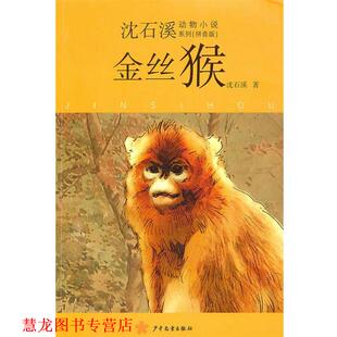 沈石溪动物小说拼音版 金丝猴 沈石溪 少年儿童出版 书籍 著 社 正版
