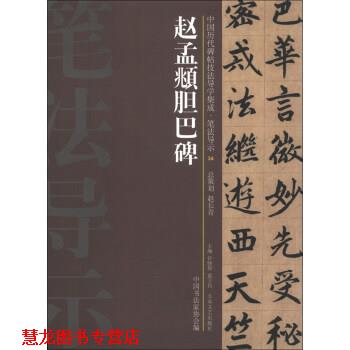 【正版书籍】 赵孟頫胆巴碑 许晓俊,袁卫民,中国书法家协会 编 大众文艺出版社