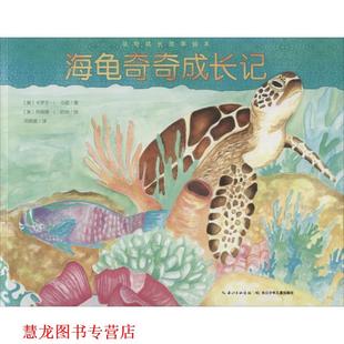 海龜奇奇成長(zhǎng)記 動(dòng)物成長(zhǎng)故事繪本 正版 長(zhǎng)江少年兒童出版 著 卡羅爾·L·馬諾 特麗娜·L·哈納 繪 社 書籍 美