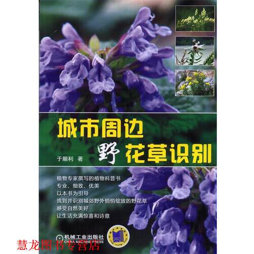 【正版书籍】 城市周边野花草识别 于顺利 著 机械工业出版社