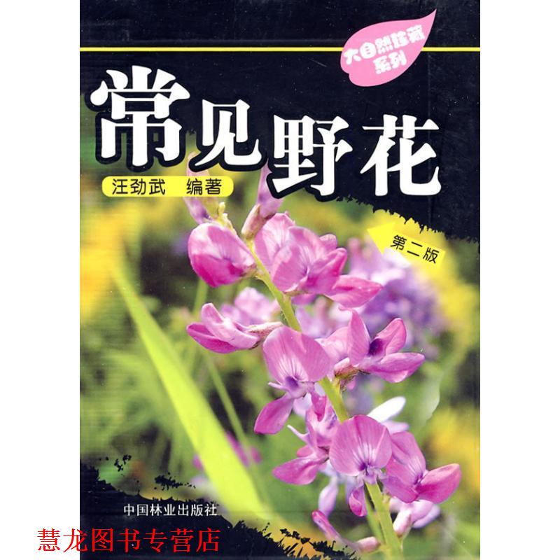 【正版书籍】 常见野花:大自然珍藏系列 汪劲武 中国林业出版社
