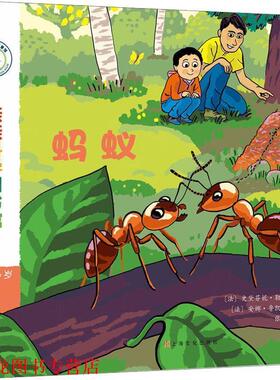 【正版书籍】 蚂蚁 (法)史黛芬妮·勒迪(Stephanie Ledu) 上海文化出版社