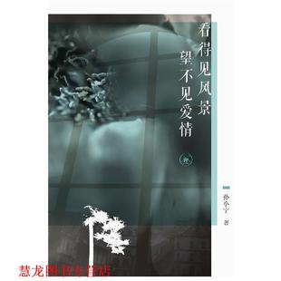 看得见风景 书籍 望不见爱情 孙小宁 生活·读书·新知三联书店 著 正版