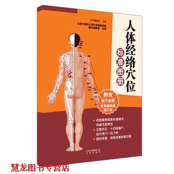 【正版书籍】 人体经络穴位标准图册 《人体经络穴位标准图册》编委会 编 北京出版社