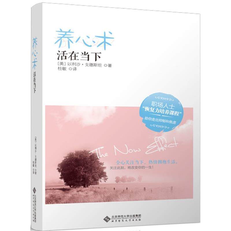 【正版书籍】 慢品生活:养心术 活在当下 以利沙·戈德斯坦　著,杜敏　译 北京师范大学出版社