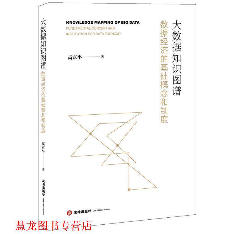 【正版书籍】 大数据知识图谱:数据经济的基础概念和制度 高富平 著 法律出版社