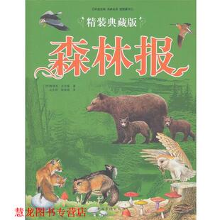 精装 社 中国华侨出版 著 正版 书籍 沈念驹 森林报 典藏版 译 苏 姚锦镕 维塔里·比安基