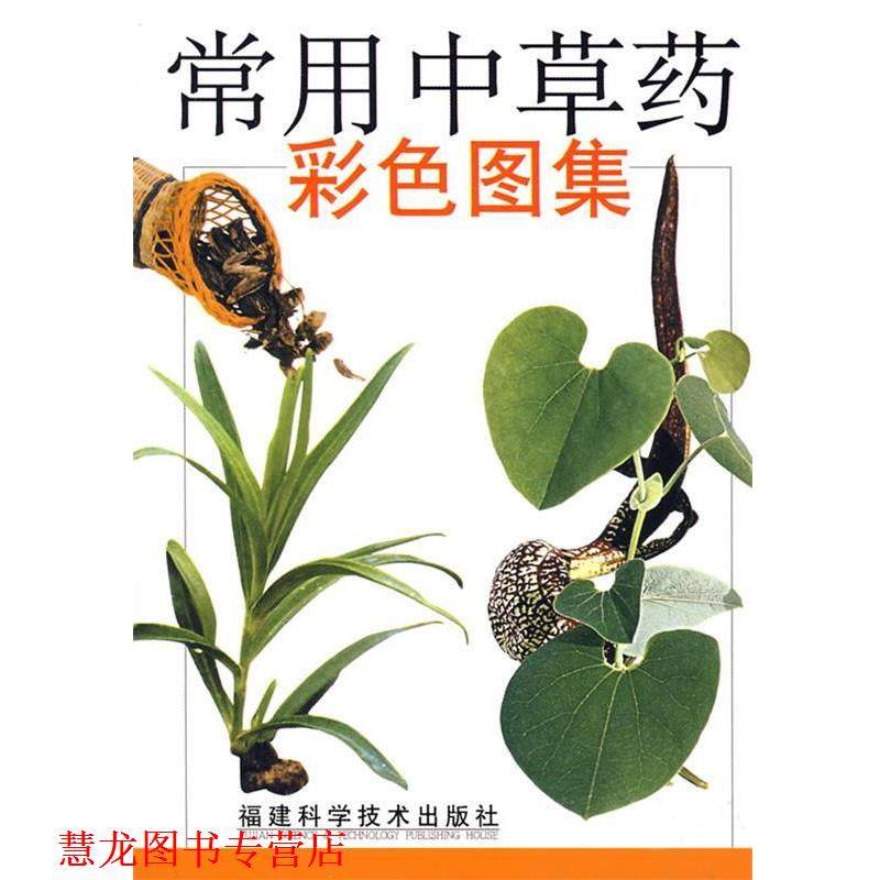 【正版书籍】 常用中草药彩色图集 华碧春,陈小峰,庄朝安　编著 福建科技出版社