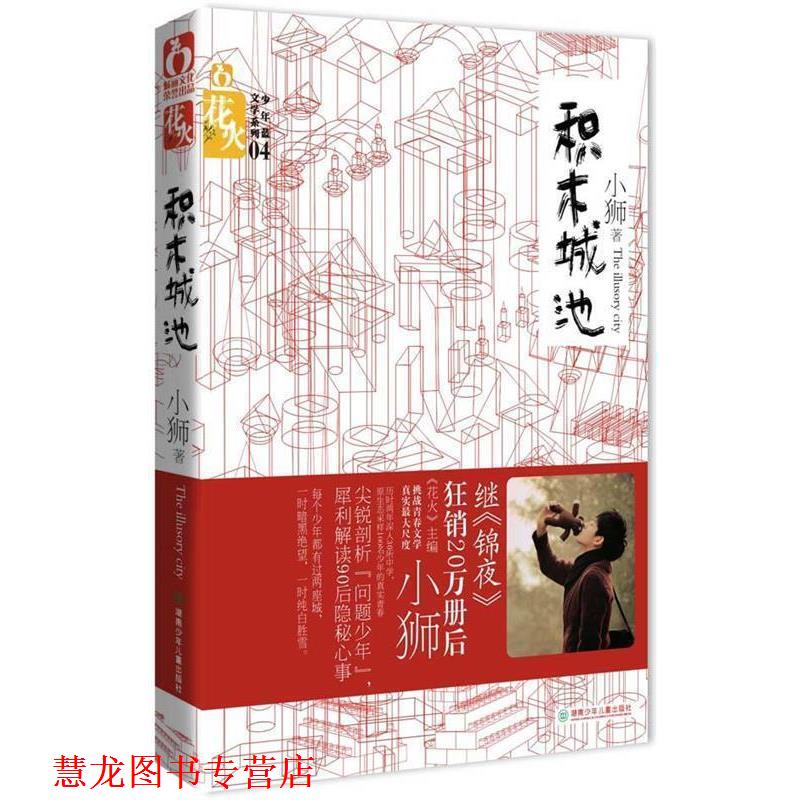 【正版书籍】 积木城池 小狮 著 湖南少儿出版社