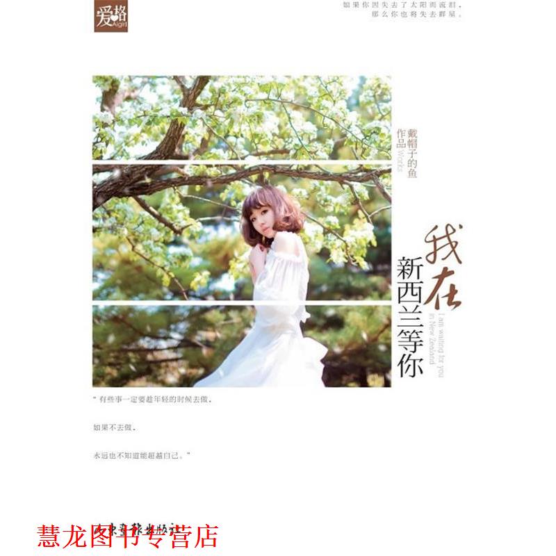 【正版书籍】 我在新西兰等你 戴帽子的鱼 山东画报出版社