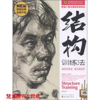 【正版书籍】 造型基础训练方法丛书:素描人物头像结构训练法 徐怀芳 著 湖北长江出版集团，湖北美术出版社